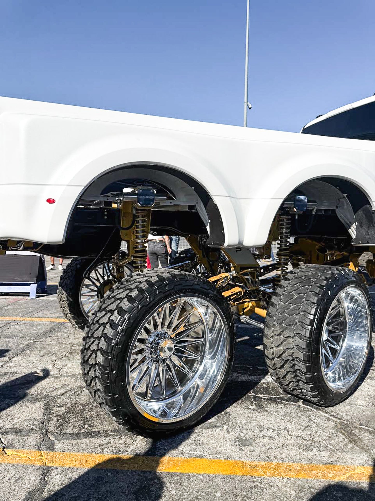 Papis 6x6 Number 2